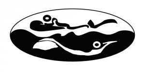 BORDEAUX PALMES AVENTURE