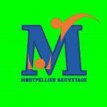 MONTPELLIER SAUVETAGE