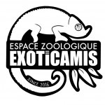 EXOTICAMIS