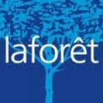 LAFORET IMMOBILIER NJ CONSEIL