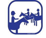 CHEVAL RANDO EQUITATION