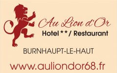 HOTEL RESTAURANT AU LION D'OR