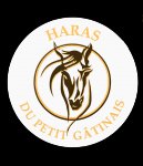 HARAS DU PETIT GATINAIS