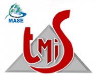 TMIS