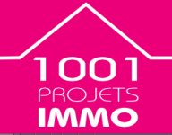 1001 PROJETS IMMO