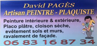 PAGES DAVID