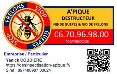 A'PIQUE DESTRUCTION DE NID DE GUEPES ET FRELON