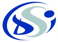 DSI - DISTRIBUTION SERVICES INDUSTRIELS