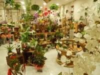 AU MILIEU DES FLEURS