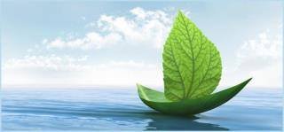 CHRYSTELLE PINCEMAIL