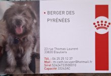 ELEVAGE FAMILIAL DU VIEUX CHENE