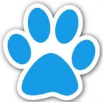 ANIMALERIE ACCESSOIRES CHIENS EN LIGNE