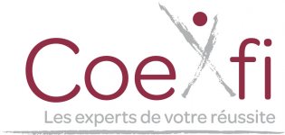 COEXFI (CONSEIL EXPERTISE FINANCE)