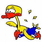 NAUTIQUE CLUB LUNÉVILLOIS