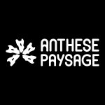 ANTHESE PAYSAGE