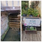 GITE-SPA DU MOULIN DE BARUTEL