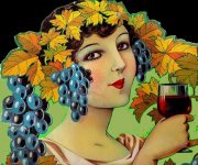 LA COMPAGNIE DES VINS