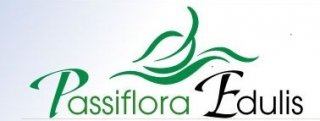 PASSIFLORA EDULIS