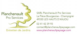 PLANCHENAULT PRO SERVICES