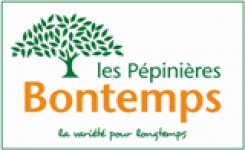 BONTEMPS PEPINIERES