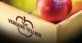 SARL CHRISTOPHE TELLIER