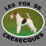 LES FOX DE CRESECQUES