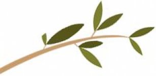 LES JARDINS DU MAS EVESQUE