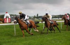 HIPPODROME DE SAINT MALO