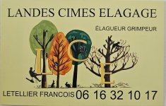 LANDES CIMES ELAGAGE