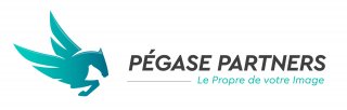 PEGASE PARTNERS