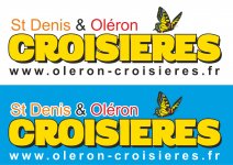 SAINT-DENIS CROISIERES