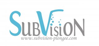 SUBVISION PLONGÉE