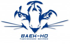 TAEKWONDO SEVRES