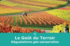 LE GOUT DU TERROIR