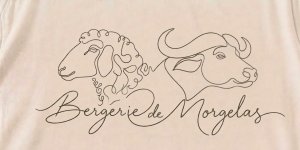 GAEC BERGERIE DE MORGELAS