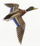 DOMAINE DE LA BELLIÈRE