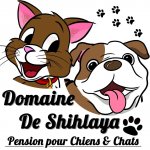 DOMAINE DE SHIHLAYA