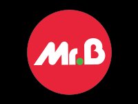 MONSIEUR BRICOLAGE - SAS LAUSA 5