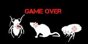 GAME OVER