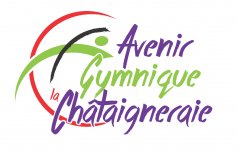 AVENIR GYMNIQUE CHATAIGNERAIE