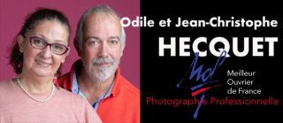 HECQUET JEAN CHRISTOPHE