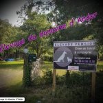 DOMAINE D'ANDOR - ÉLEVAGE & PENSION CANINE