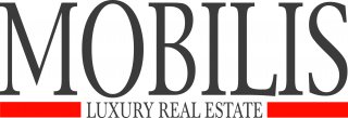 GROUPE MOBILIS