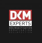 DKM EXPERTS