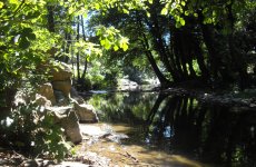 CAMPING L'OREE DES CEVENNES
