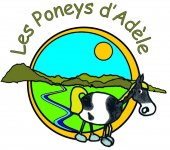 LES PONEYS D'ADELE