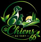 CHIENS AU VERT66 MARIE ANDREE OLLIVIER