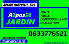 A2PAS56 SERVICE A LA PERSONNE PHILIPPE DUFLOS