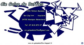 GALOP DE BUFFLES