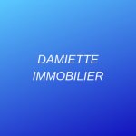 DAMIETTE IMMOBILIER